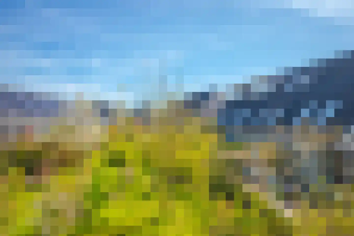 Dijkkruin 7 Arnhem thumbnail 5