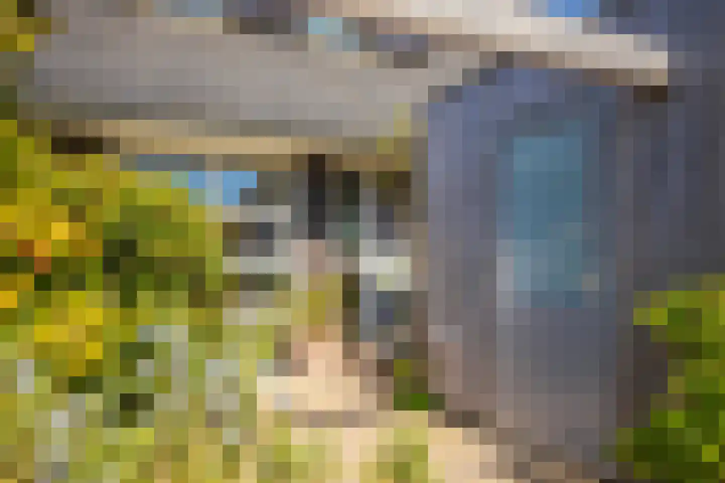 Dijkkruin 7 Arnhem thumbnail 6