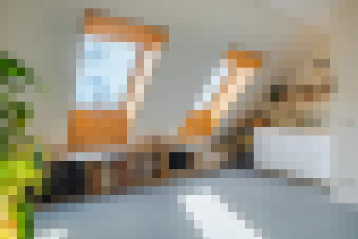 Dijkkruin 9 Arnhem thumbnail 20