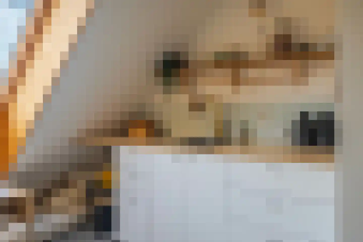 Dijkkruin 9 Arnhem thumbnail 21
