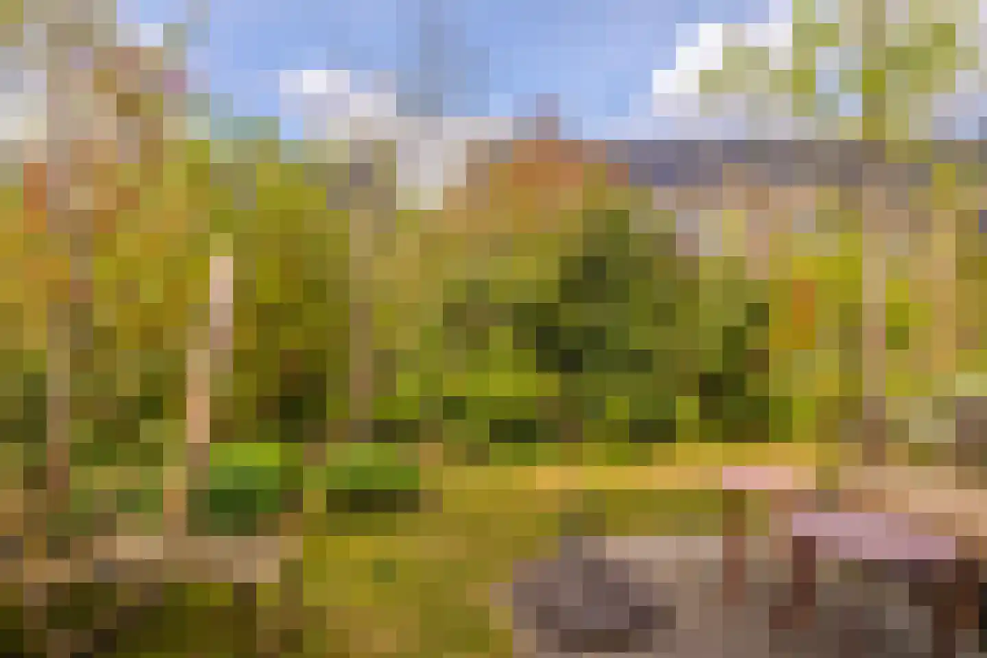 Dijkkruin 9 Arnhem thumbnail 25