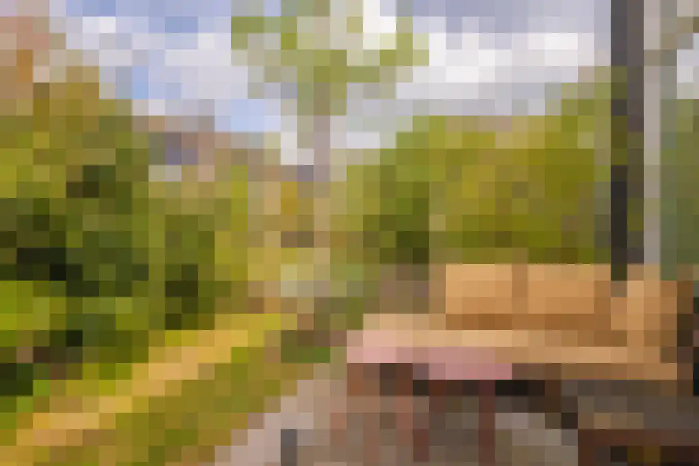 Dijkkruin 9 Arnhem thumbnail 26