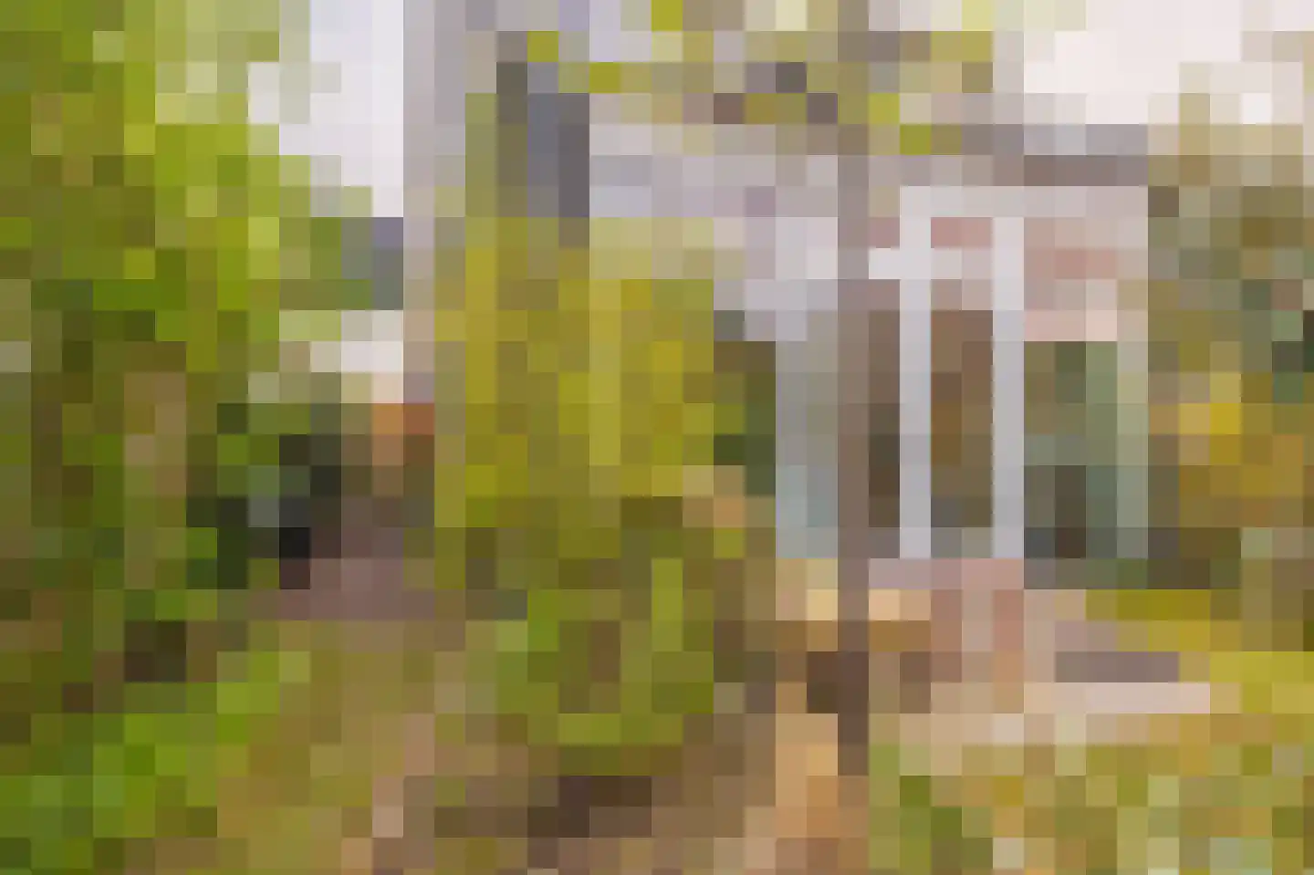 Dijkkruin 9 Arnhem thumbnail 27