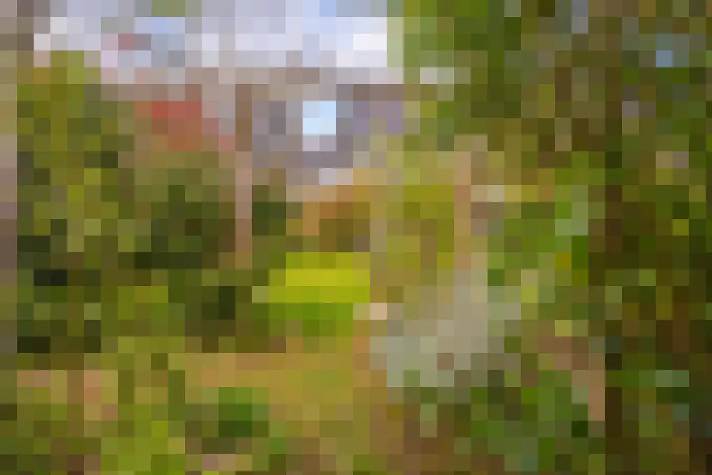 Dijkkruin 9 Arnhem thumbnail 28