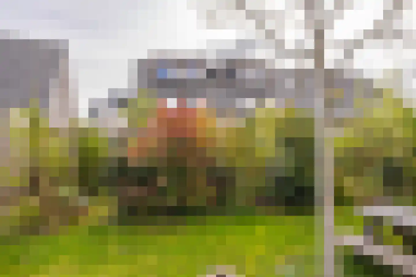Dijkkruin 9 Arnhem thumbnail 29