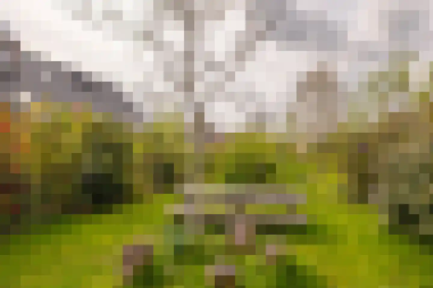 Dijkkruin 9 Arnhem thumbnail 30