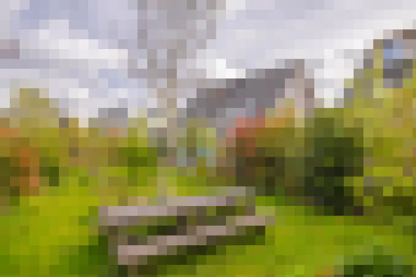 Dijkkruin 9 Arnhem thumbnail 31