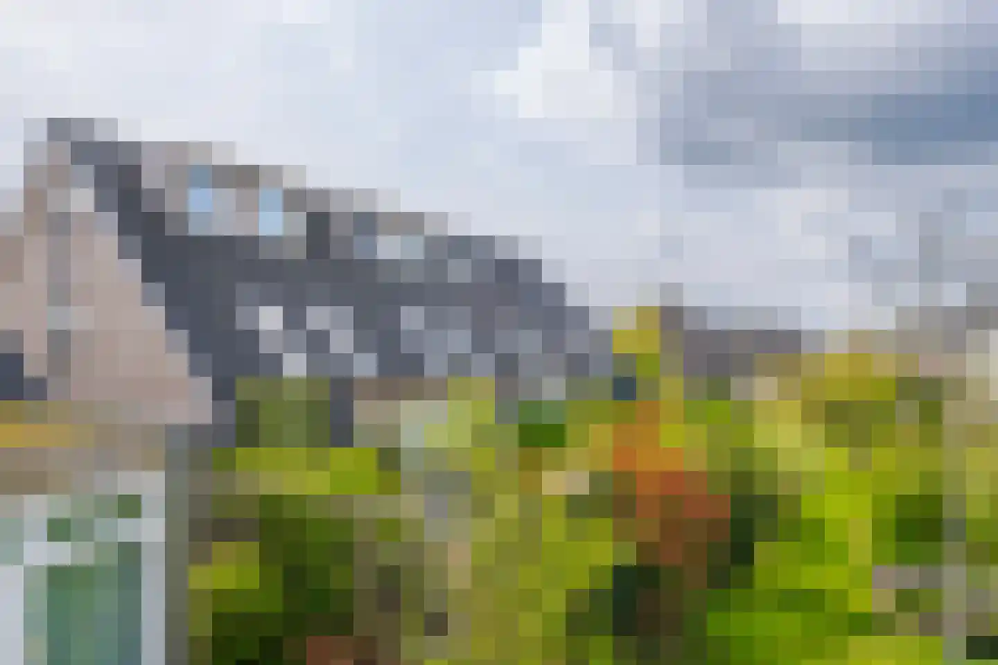 Dijkkruin 9 Arnhem thumbnail 4