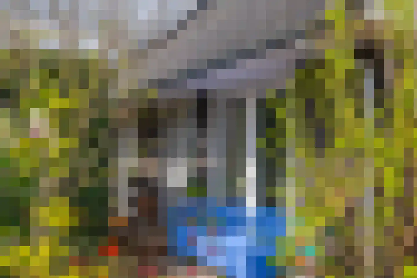 Dijkkruin 9 Arnhem thumbnail 5