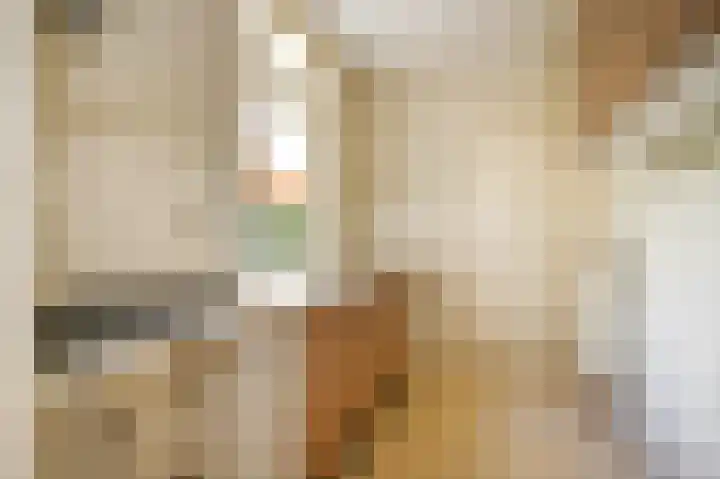 Dijklaan 146 Bergambacht thumbnail 15
