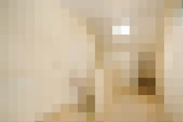 Dijklaan 146 Bergambacht thumbnail 19