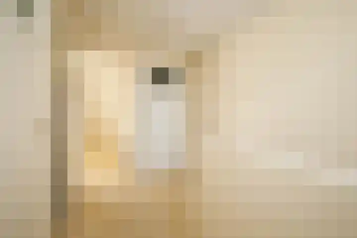 Dijklaan 146 Bergambacht thumbnail 20