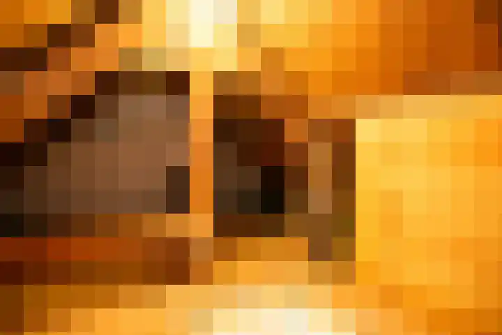 Dijklaan 146 Bergambacht thumbnail 24