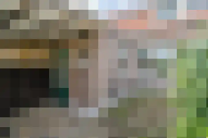 Dijklaan 146 Bergambacht thumbnail 26