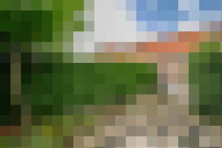 Dijklaan 146 Bergambacht thumbnail 28