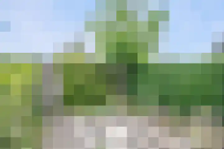 Dijklaan 146 Bergambacht thumbnail 29