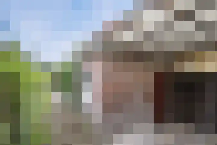 Dijklaan 146 Bergambacht thumbnail 30