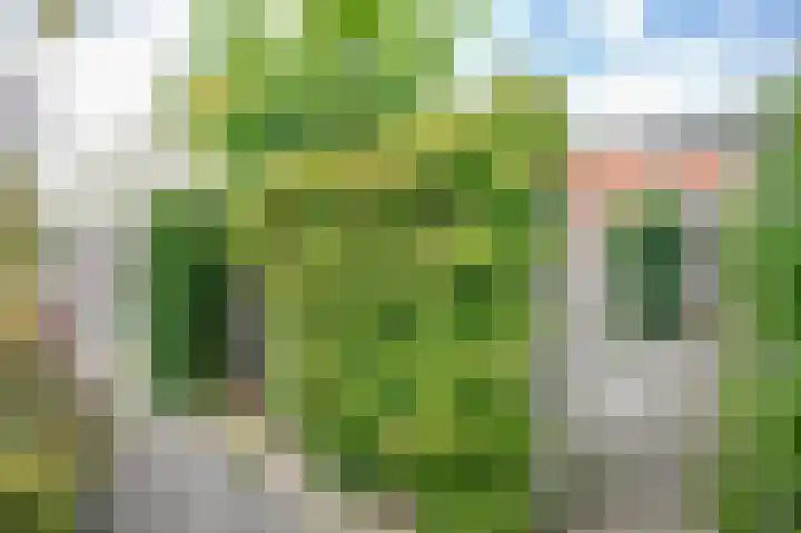 Dijklaan 146 Bergambacht thumbnail 31