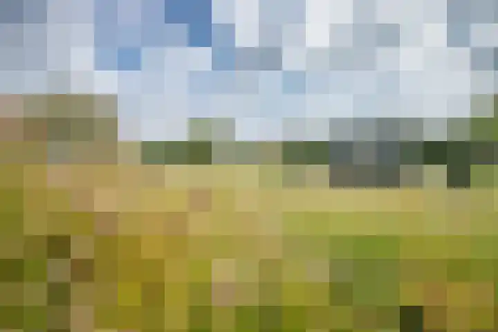 Dijklaan 146 Bergambacht thumbnail 32