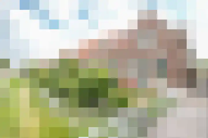 Dijklaan 146 Bergambacht thumbnail 5