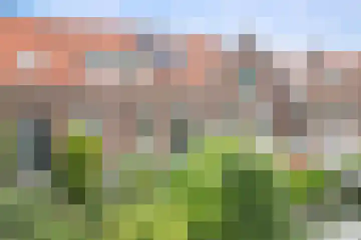 Dijklaan 146 Bergambacht thumbnail 6