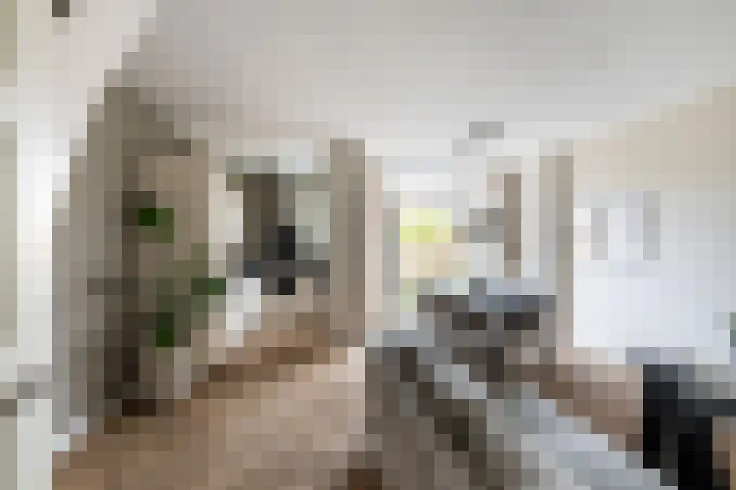 Dijklaan 21 Vlaardingen thumbnail 11