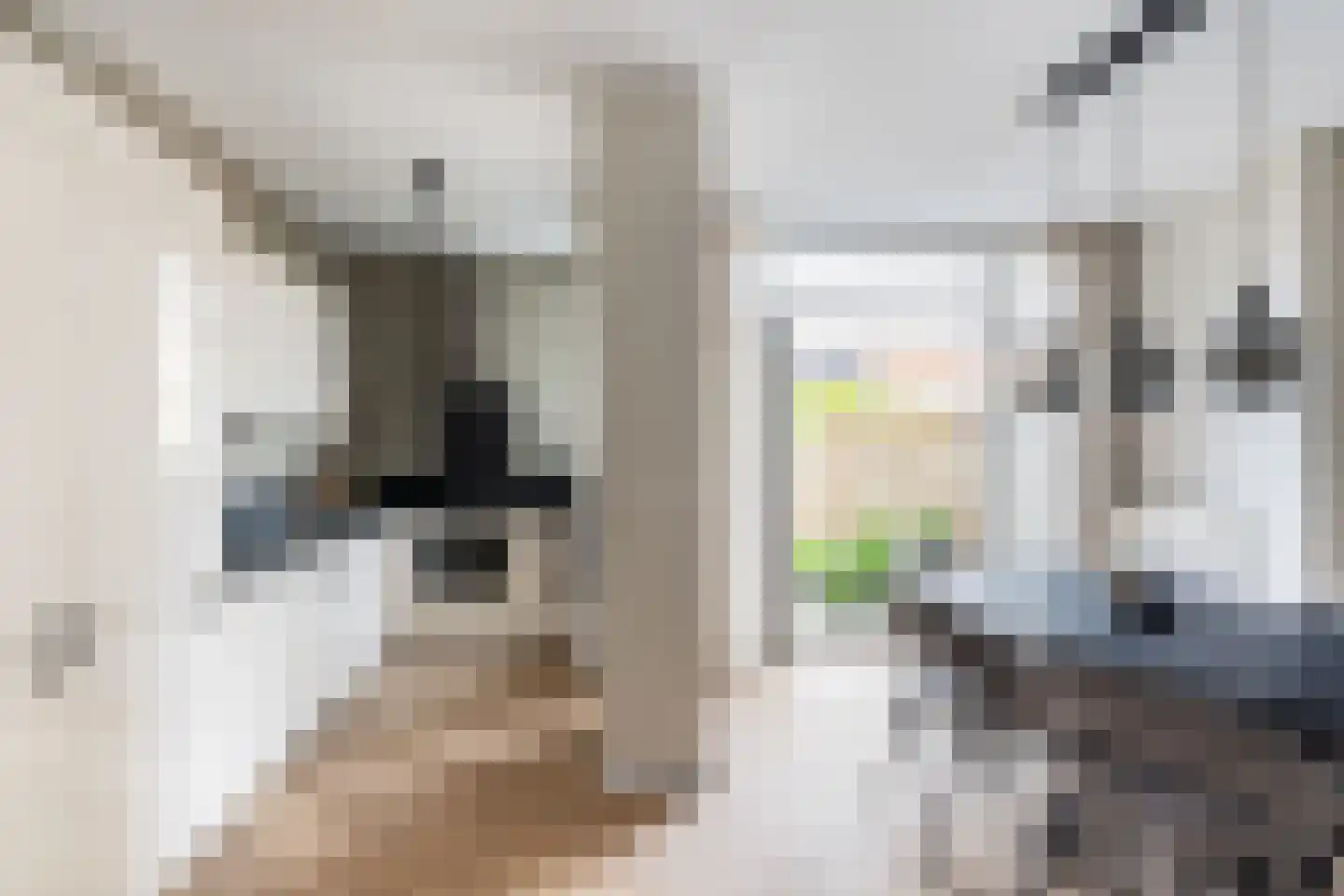 Dijklaan 21 Vlaardingen thumbnail 12