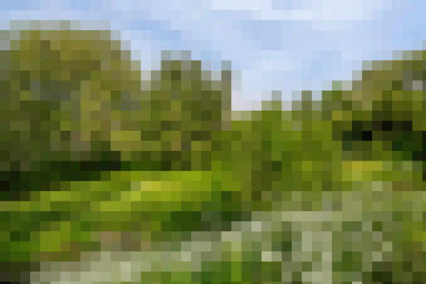 Dijklaan 21 Vlaardingen thumbnail 36