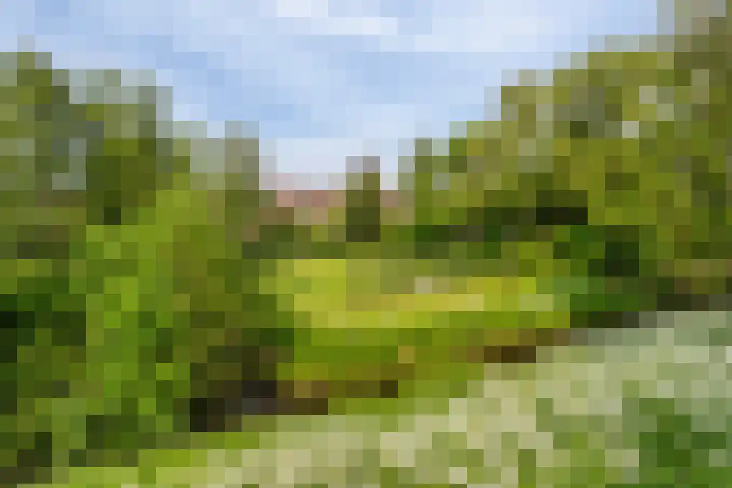 Dijklaan 21 Vlaardingen thumbnail 37