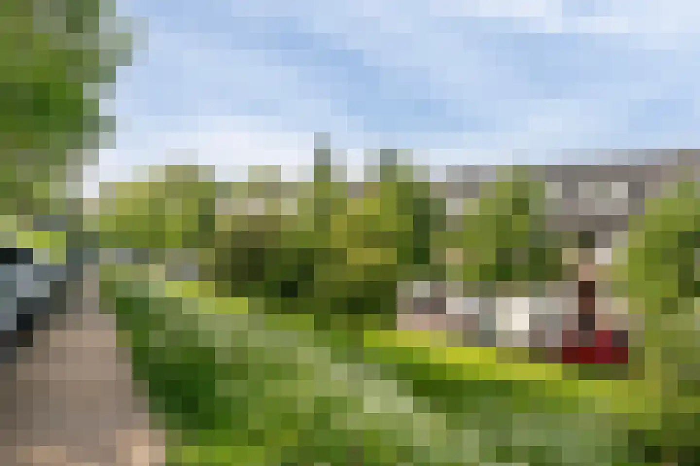 Dijklaan 21 Vlaardingen thumbnail 4