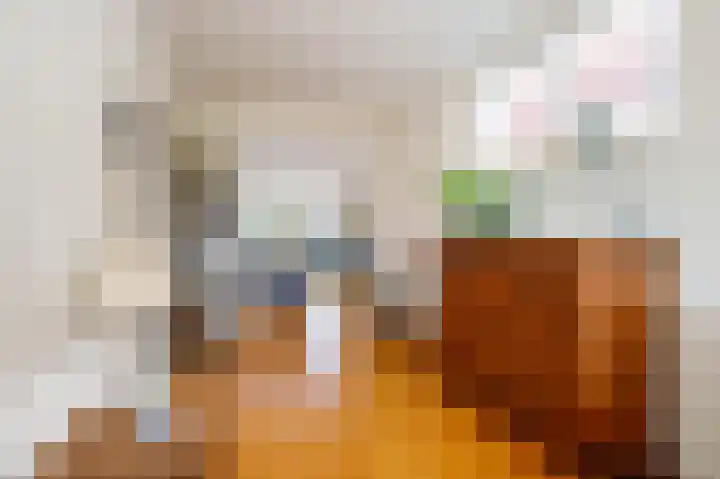 Dijklaan 22 Bergambacht thumbnail 11