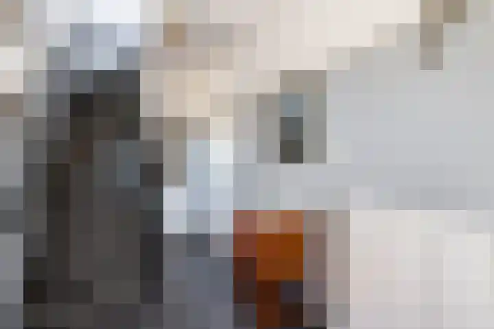 Dijklaan 22 Bergambacht thumbnail 20