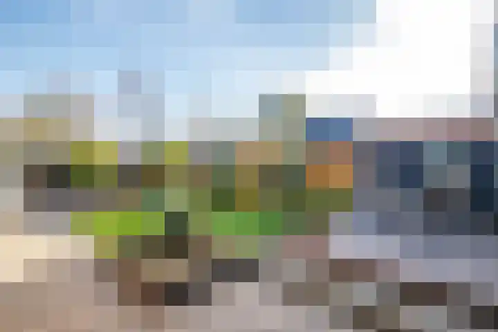 Dijklaan 22 Bergambacht thumbnail 35