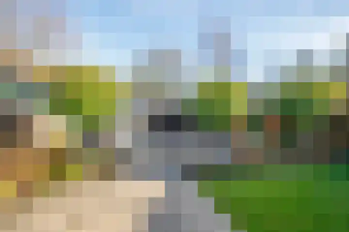 Dijklaan 22 Bergambacht thumbnail 37