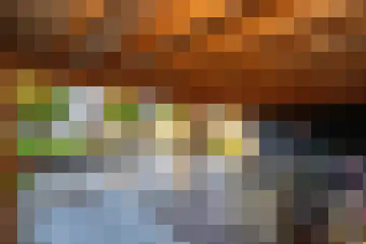Dijklaan 22 Bergambacht thumbnail 39