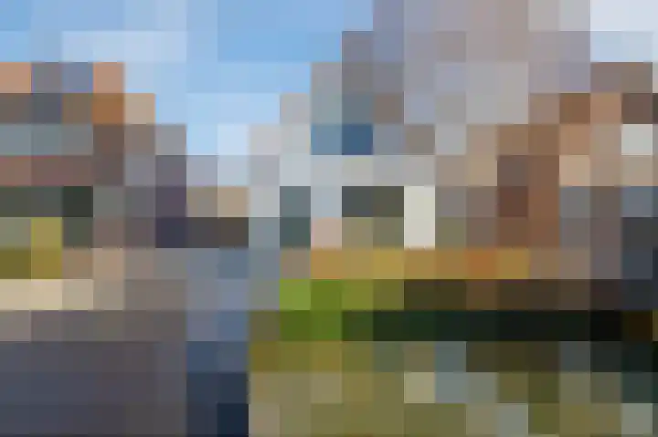 Dijklaan 22 Bergambacht thumbnail 5