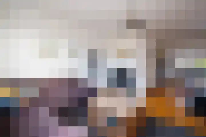 Dijklaan 22 Bergambacht thumbnail 8