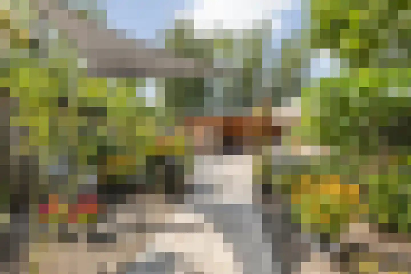 Dijklaan 23 Breda thumbnail 22