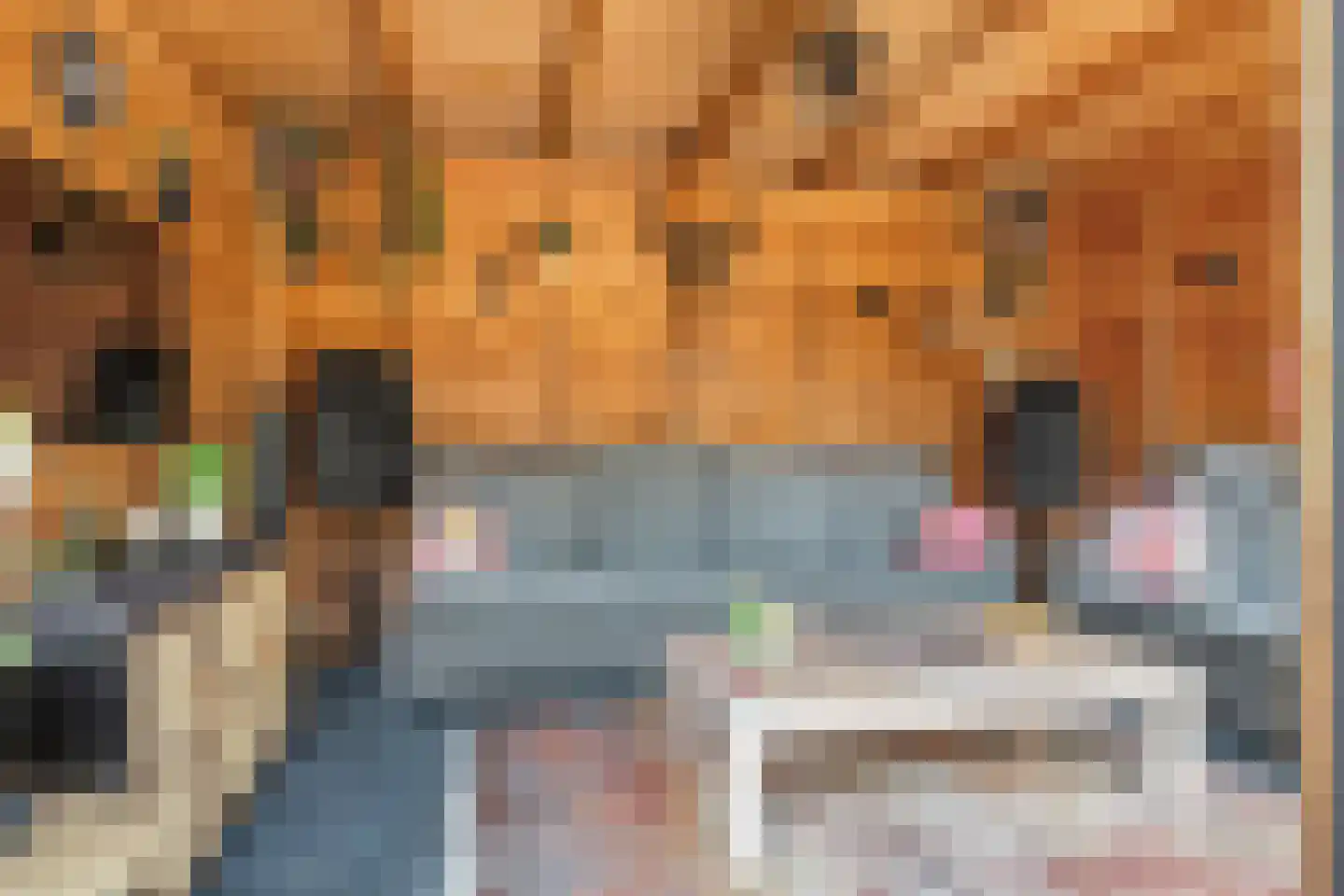 Dijklaan 23 Breda thumbnail 26