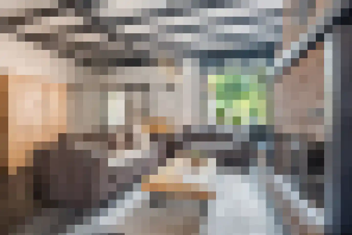 Dijklaan 23 Breda thumbnail 5