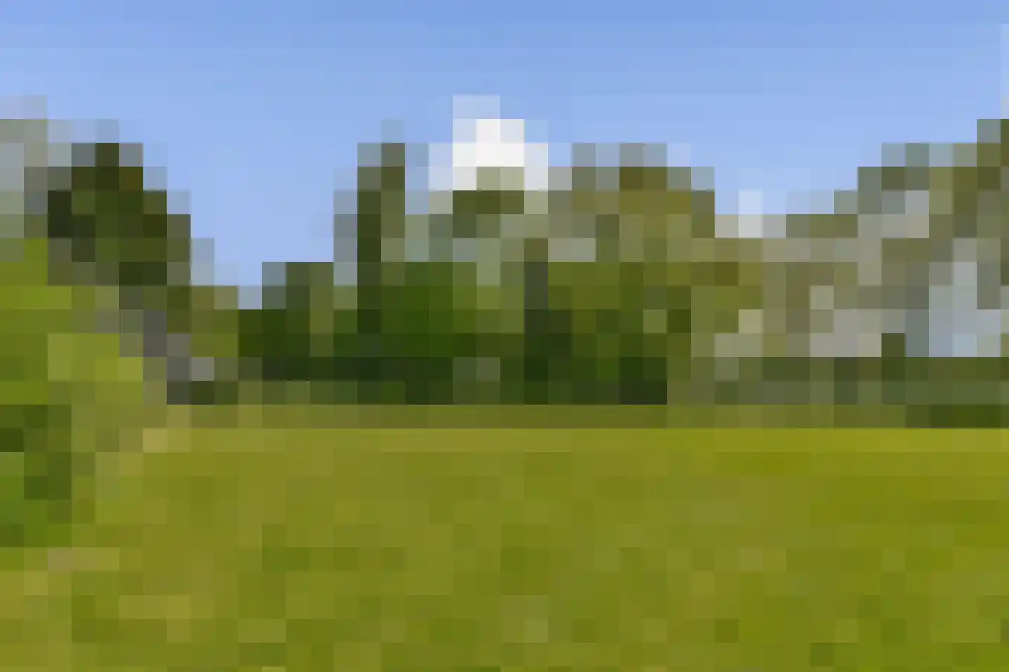 Dijklaan 27 Vlaardingen thumbnail 26