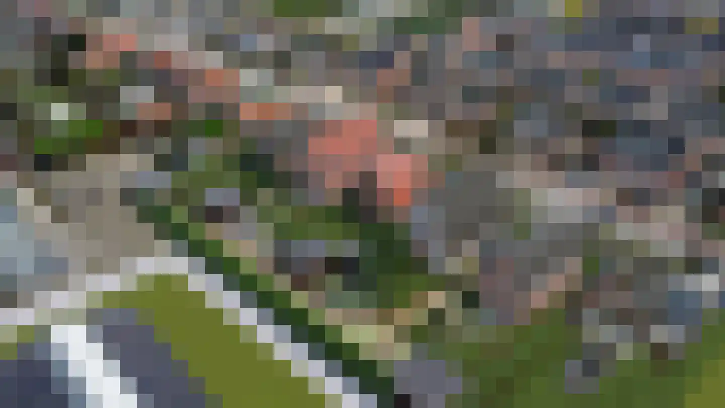 Dijklaan in Bergambacht
