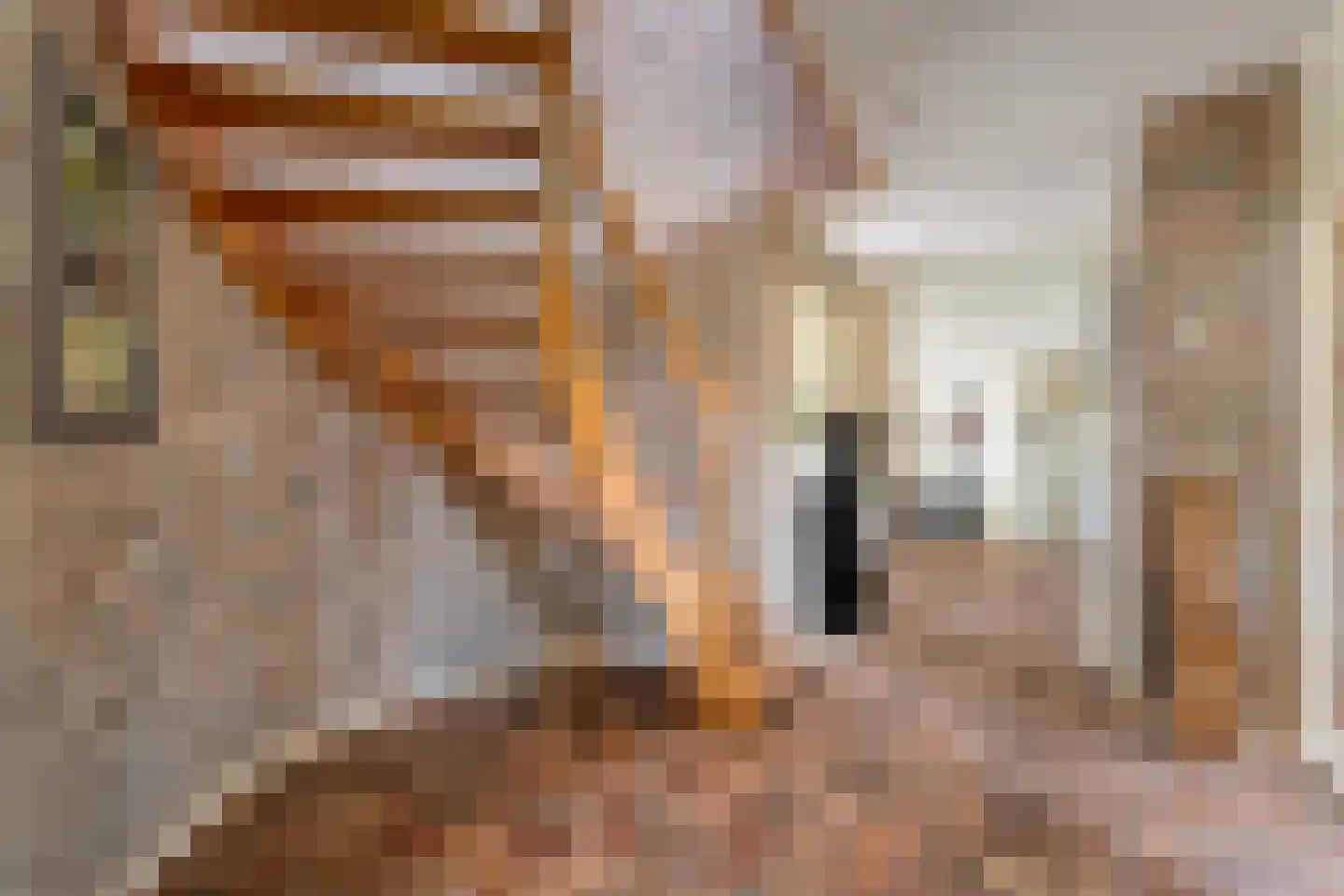 Dijklaan 4 Oldemarkt thumbnail 16