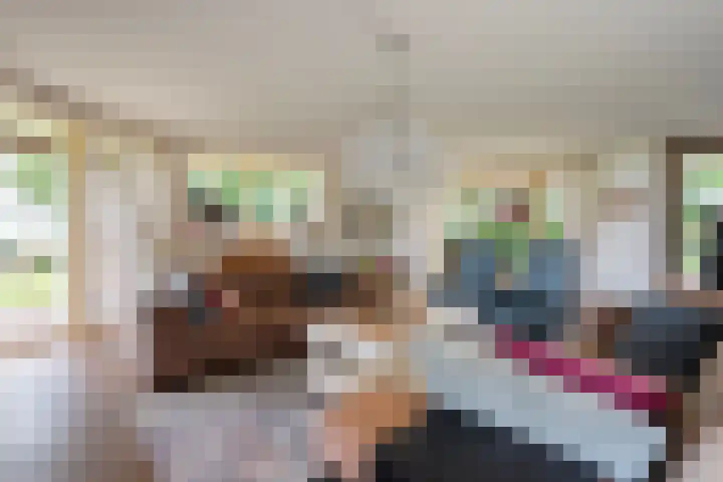 Dijklaan 4 Oldemarkt thumbnail 23