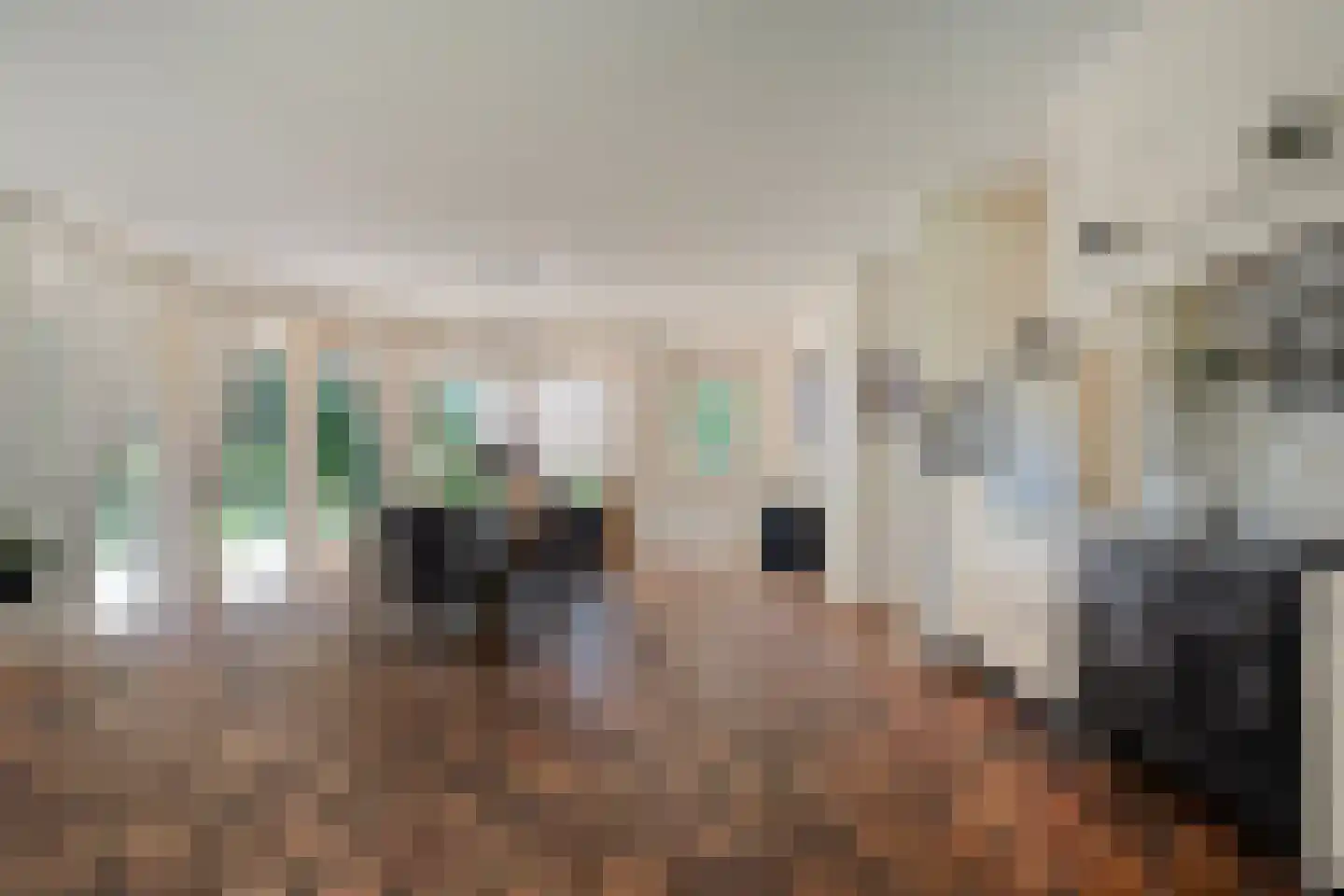 Dijklaan 4 Oldemarkt thumbnail 29