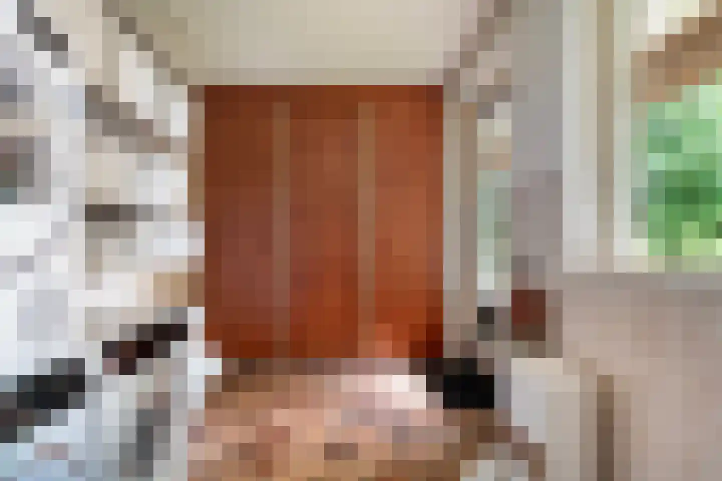 Dijklaan 4 Oldemarkt thumbnail 33