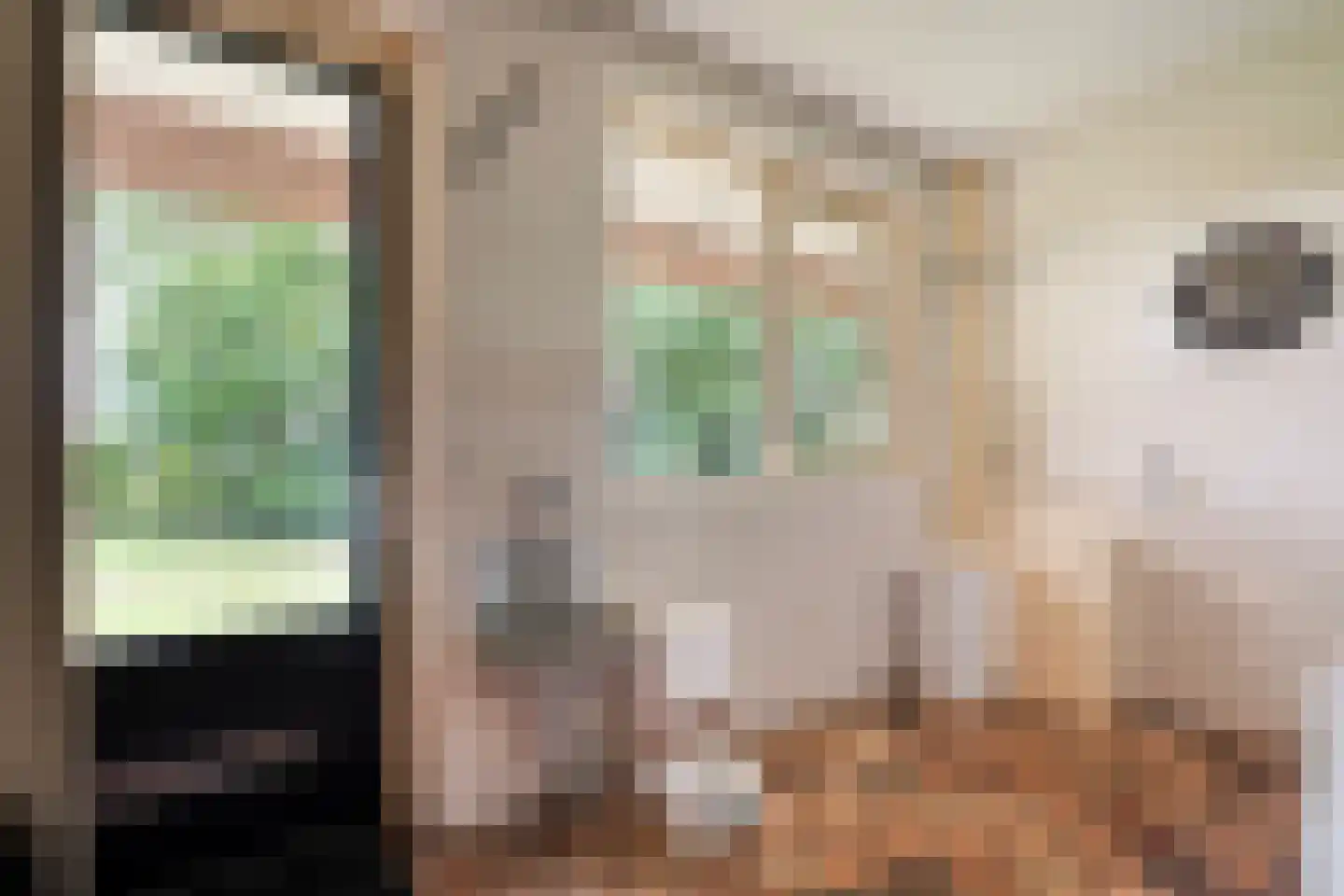 Dijklaan 4 Oldemarkt thumbnail 34