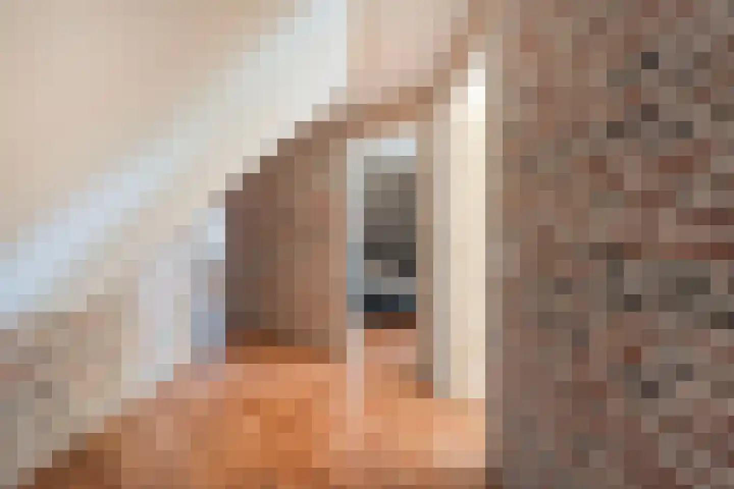 Dijklaan 4 Oldemarkt thumbnail 39