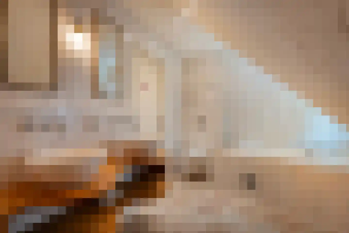 Dijklaan 4 Oldemarkt thumbnail 52