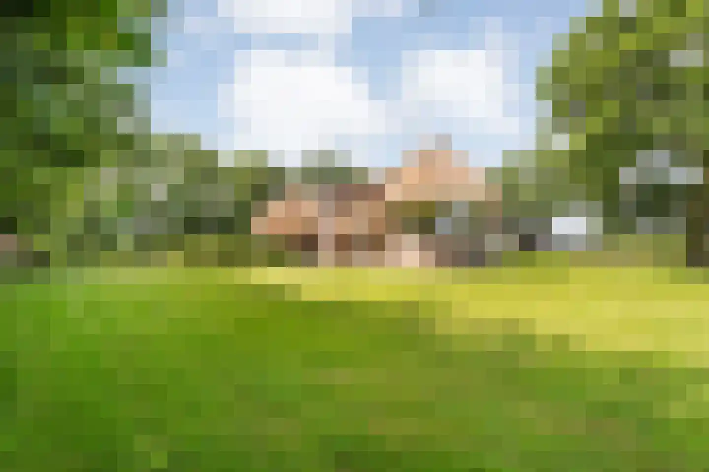 Dijklaan 4 Oldemarkt thumbnail 57